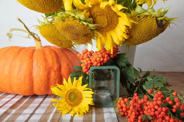 Balkabağı, bir buket ayçiçeği, beyaz bir vazo, şamdanlar ve kırmızı Rowan 'la hayat, merhaba sonbahar konsepti, Cadılar Bayramı