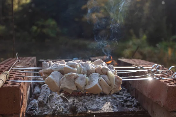 Мясо на железных шашлыках, приготовленное на домашнем гриле — стоковое фото