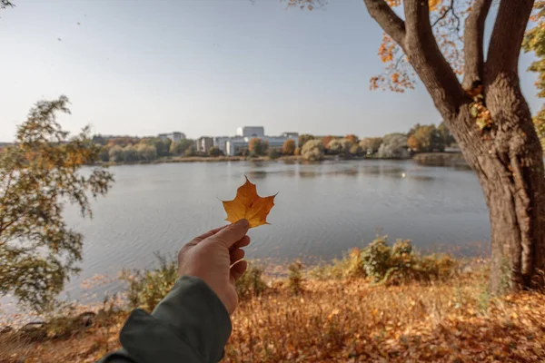 Hermoso paisaje otoñal de Helsinki en un día soleado, en primer plano una mano sostiene una hoja de arce. —  Fotos de Stock