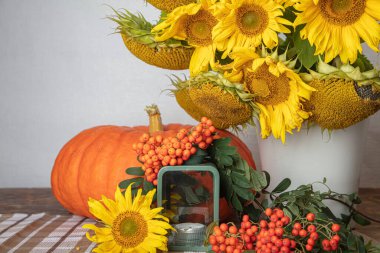 Balkabağı, bir buket ayçiçeği, beyaz bir vazo, şamdanlar ve kırmızı Rowan 'la hayat, merhaba sonbahar konsepti, Cadılar Bayramı