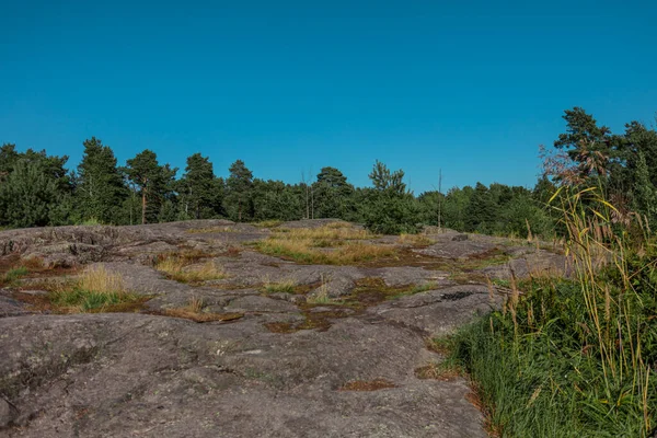 斯堪的纳维亚自然，花岗岩和松岩。阳光灿烂的夏日 — 图库照片