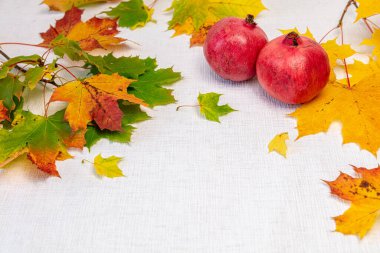 Beyaz arka planda kırmızı nar ve çok renkli akçaağaç yaprakları. Sonbahar konsepti. Metin için bir yer var