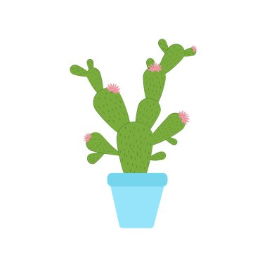 Kaktüs resimde beyaz arka plan üzerinde. Vektör çizim