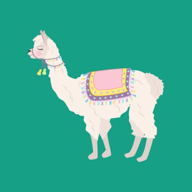 Lama alpaka illüstrasyon yeşil zemin üzerine. Vektör çizim