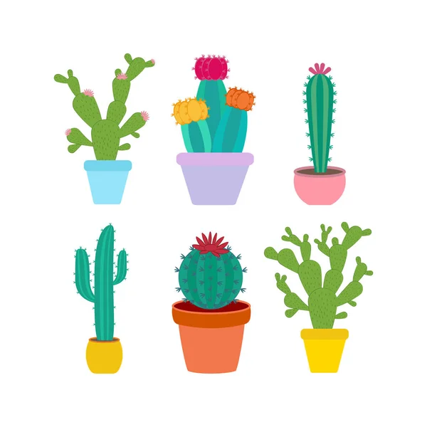 Cactus Ilustração Sobre Fundo Branco Ilustração Vetorial — Vetor de Stock