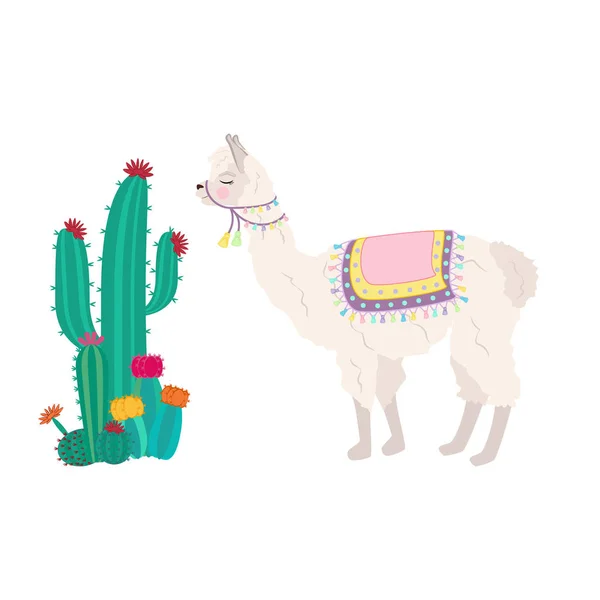 Llama and cactus illustration on the white background. Vector illustration