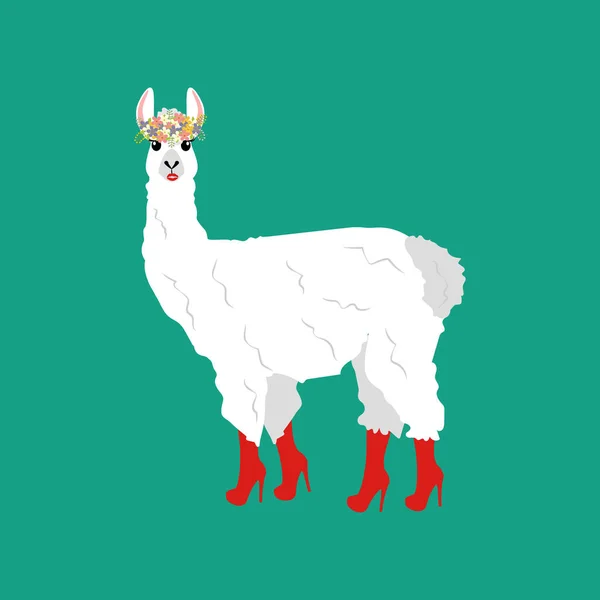 Lamas Stiefeln Auf Grünem Hintergrund Vektorillustration — Stockvektor