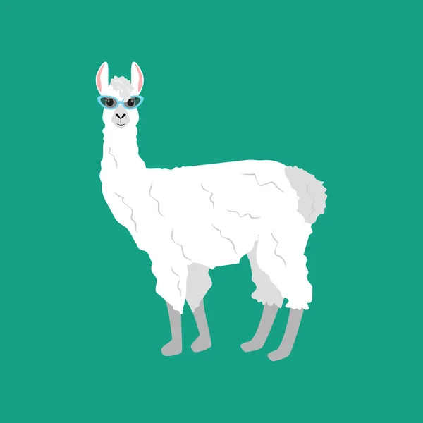 Lamas Cateye Brille Auf Grünem Hintergrund Vektorillustration — Stockvektor