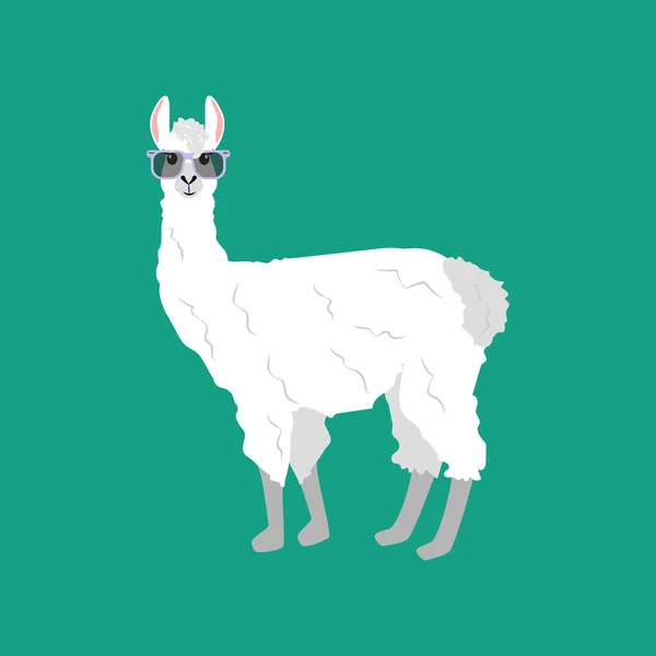 Lama Brille Illustration Auf Dem Grünen Hintergrund Vektorillustration — Stockvektor