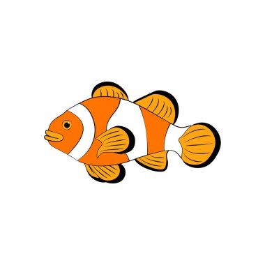 Amphiprion ocellaris clownfish beyaz arka plan üzerinde. Vektör çizim
