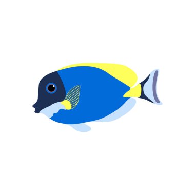 Beyaz arka plan üzerinde Gold-Rimmed Tang nigricans Acanthurus. Vektör çizim