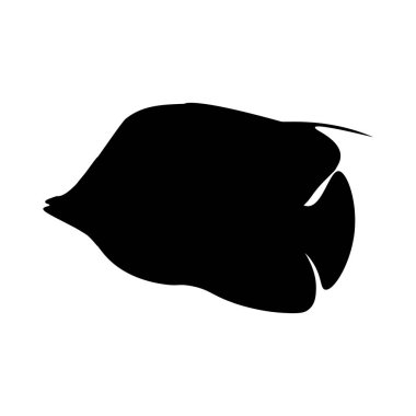 Beyaz arka plan üzerinde Treadfin Butterflyfish siluet. Vektör çizim
