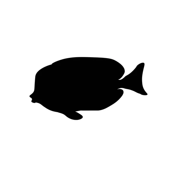 Acanthurus Nigricans Gold Rimmed Tang Silhouette Sur Fond Blanc Illustration — Image vectorielle