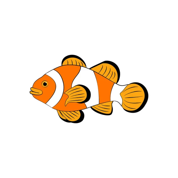 Amphiprion Ocellaris Clownfish Sur Fond Blanc Illustration Vectorielle — Image vectorielle