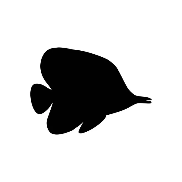 Chaetodon Butterflyfish 在白色背景上的剪影 矢量插图 — 图库矢量图片