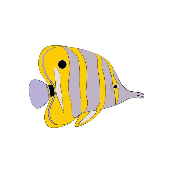 Chelmon Rostratus Copperbanded Butterflyfish Fundo Branco Ilustração Vetorial —  Vetores de Stock