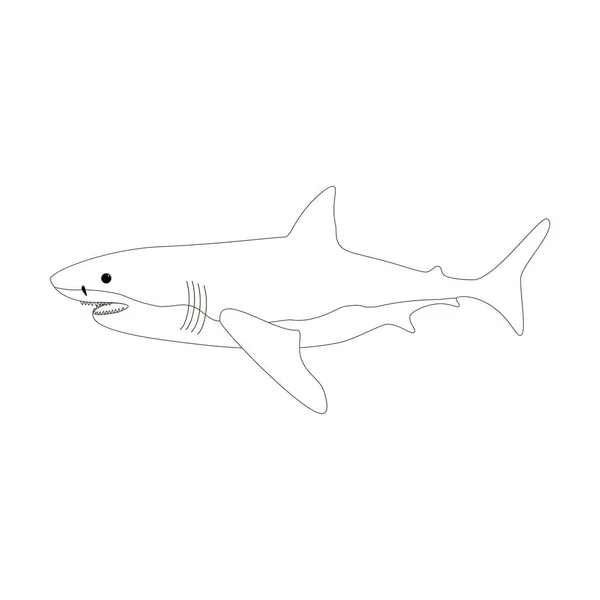 Coloriages Requins Sur Fond Blanc Illustration Vectorielle — Image vectorielle