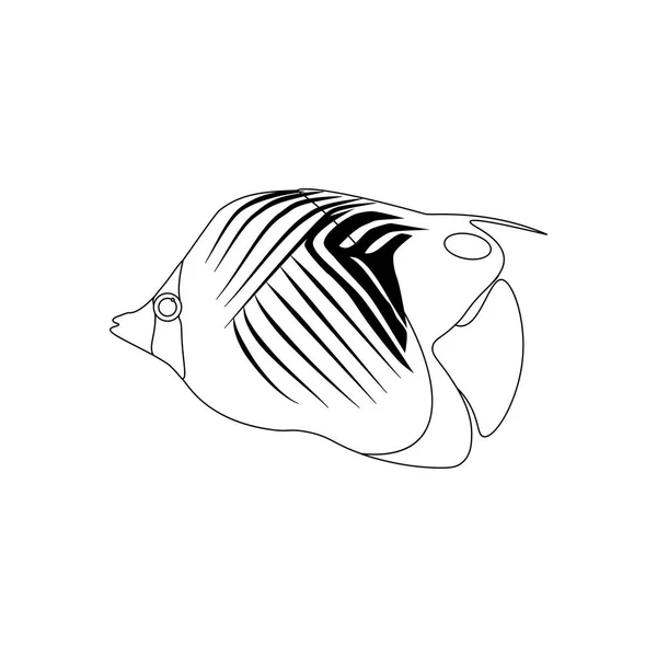 Treadfin Butterflyfish Páginas Para Colorir Fundo Branco Ilustração Vetorial —  Vetores de Stock