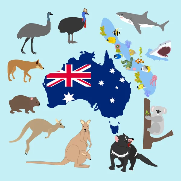 Animals Australia Blue Background Vector Illustration — Stock Vector