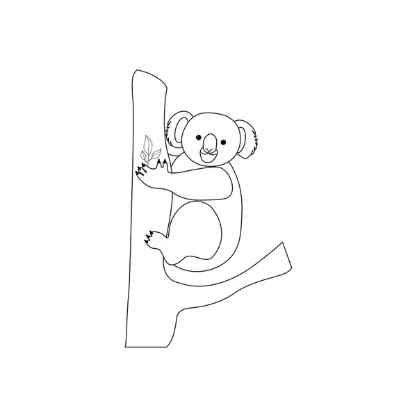 Koala Oso Para Colorear Páginas Sobre Fondo Blanco Vector Ilustración — Vector de stock