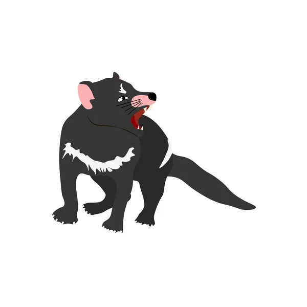 Tasmanischer Teufel Auf Weißem Hintergrund Vektorillustration — Stockvektor