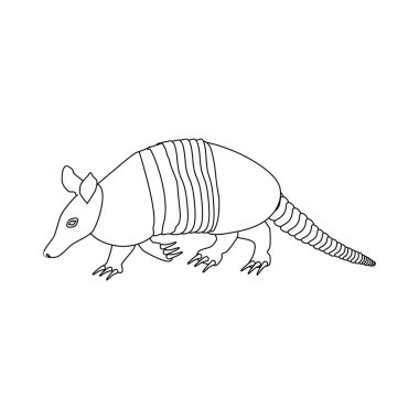 Cingulata hayvan illüstrasyon beyaz arka plan üzerinde. Vektör çizim