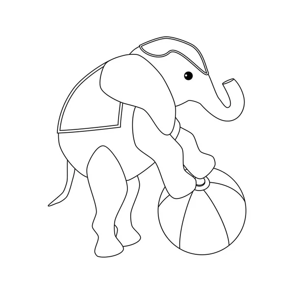 Éléphant Sur Cirque Balle Sur Fond Blanc Illustration Vectorielle — Image vectorielle