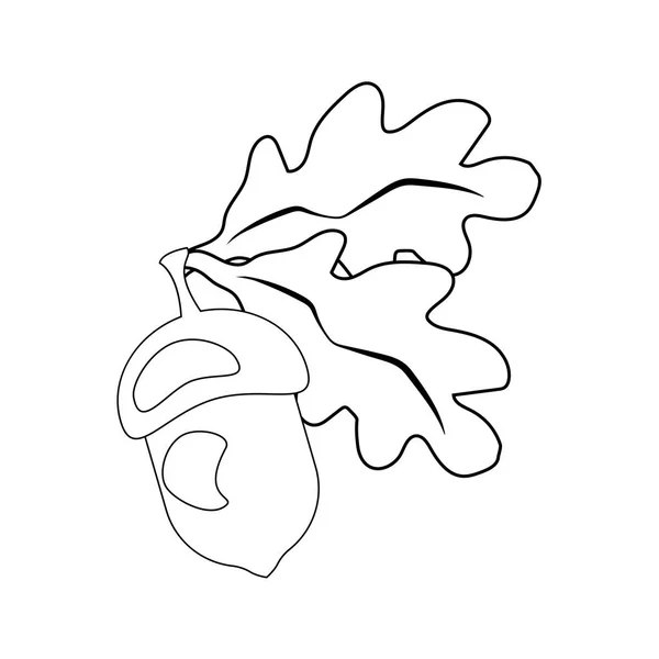 Дубовый Лист Желудь Белом Фоне Векторная Иллюстрация — стоковый вектор