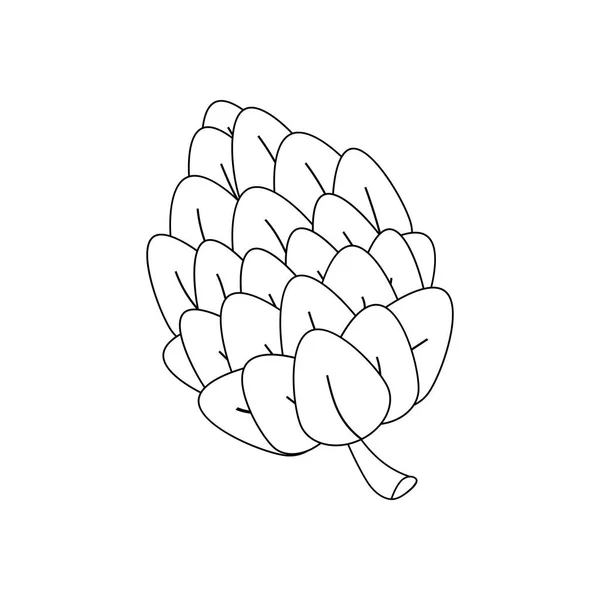 Pine Cone Illustratie Witte Achtergrond Vectorillustratie — Stockvector