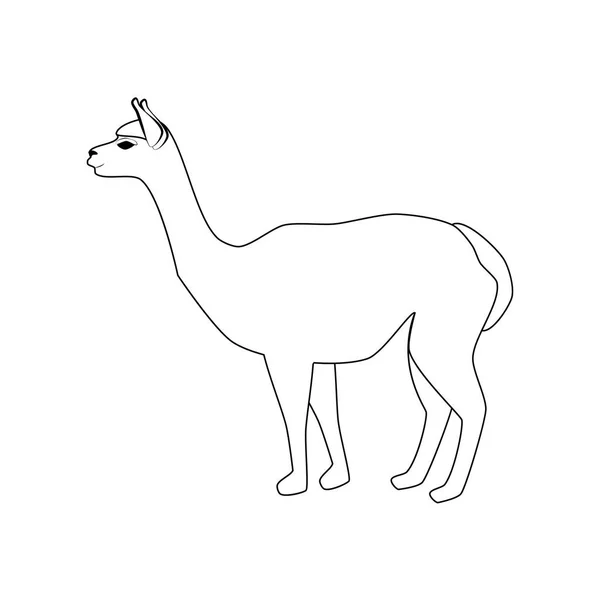 Vikuňa Zvířat Ilustrace Bílém Pozadí Vektorové Ilustrace — Stockový vektor
