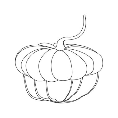 Beyaz arka plan üzerinde kabak sonbahar illüstrasyon. Vektör çizim