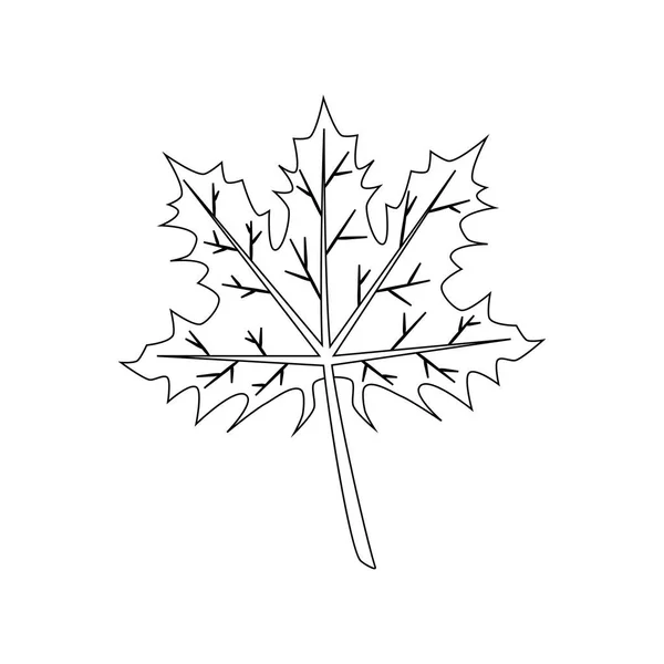 Σφενδάμνου Φύλλο Λευκό Φόντο Εικονογράφηση Διάνυσμα — Διανυσματικό Αρχείο
