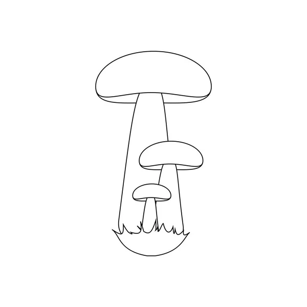 หมวกส Boletus บนพ นหล ขาว ปแบบเวกเตอร — ภาพเวกเตอร์สต็อก