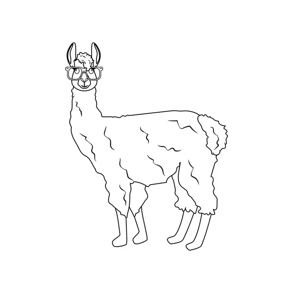 Llama Glasses White Background Vector Illustration — Stock Vector
