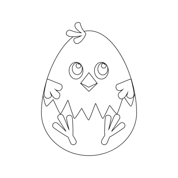 Easter Chicken Egg overzicht — Stockvector