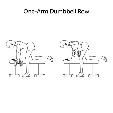 Bir kol dunbbell satır egzersiz anahat