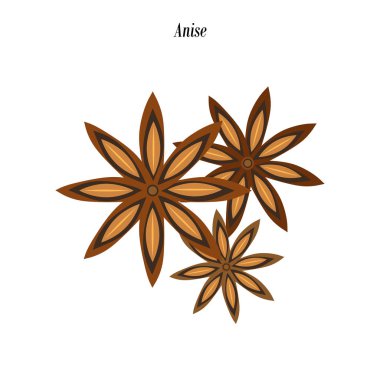 Anason baharat illüstrasyon
