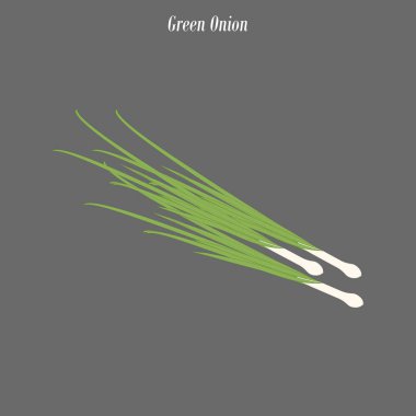 Yeşil Soğan illüstrasyonu