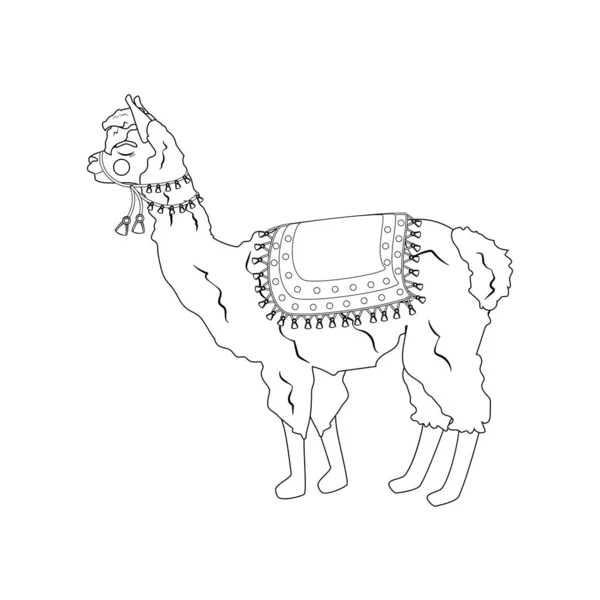 Llama illustration outline — Stock Vector