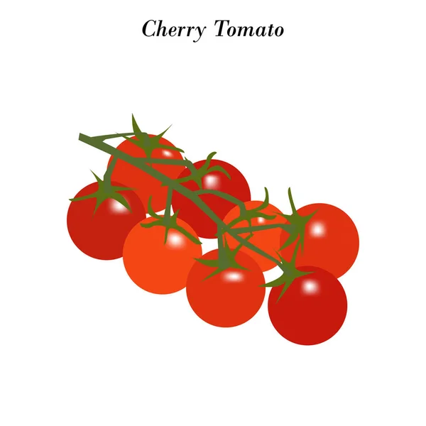 Illustration Tomate Cerise Sur Fond Blanc Illustration Vectorielle — Image vectorielle