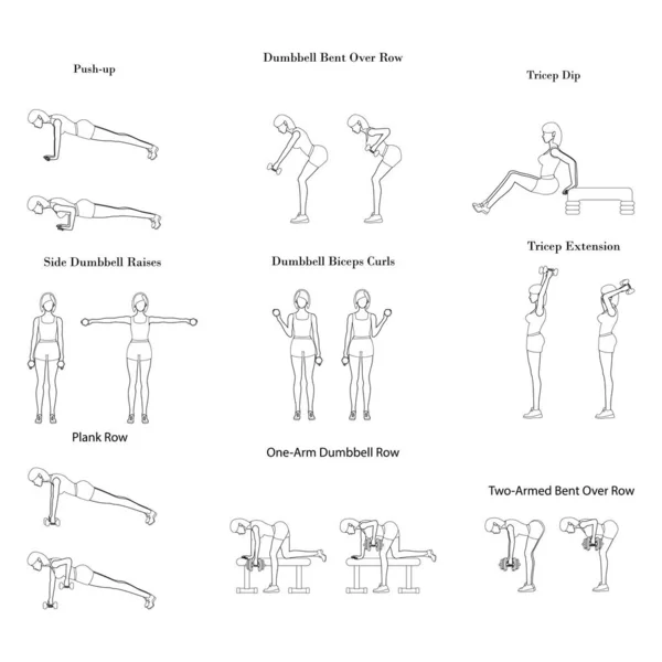 Exercice d'entraînement illustration aperçu — Image vectorielle