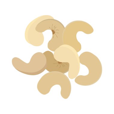 Kaju fıstığı illüstrasyon