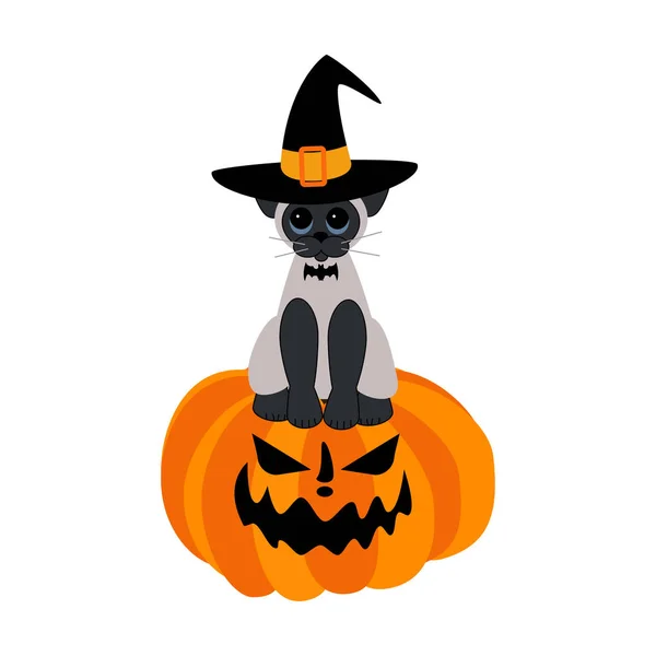 Halloween chat sur l'illustration de citrouille — Image vectorielle