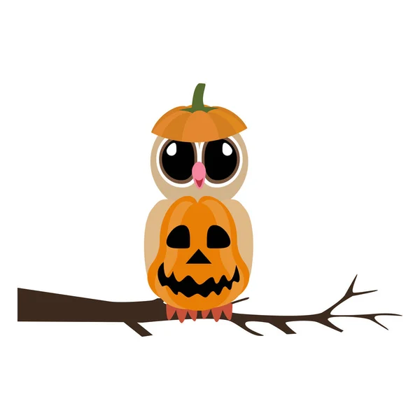 Halloween uil pompoen illustratie — Stockvector