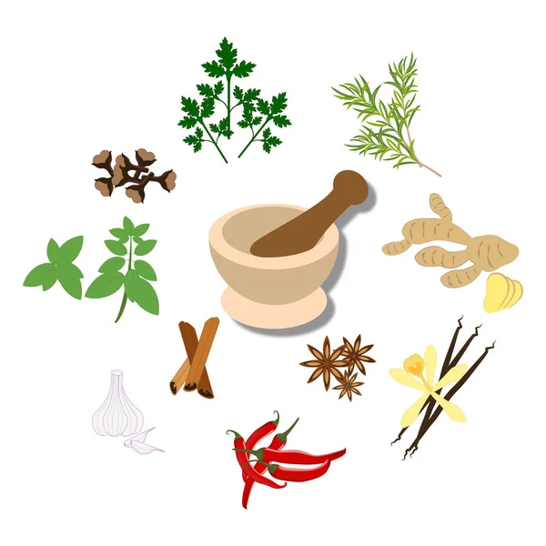 Spices and mortar illustration — Stock Vector