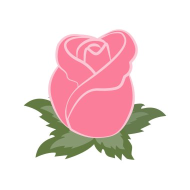 Gül goncası illüstrasyonu