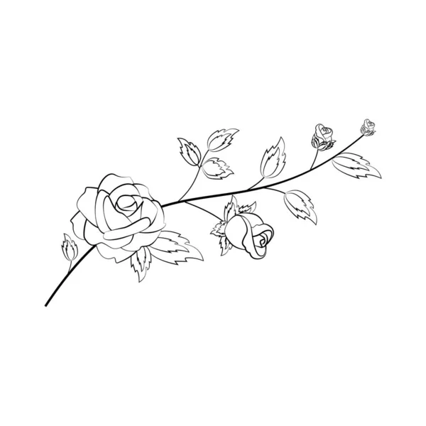 Rose fleur branche illustration contour — Image vectorielle