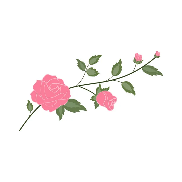 Ilustração do ramo da flor rosa — Vetor de Stock