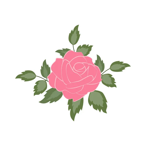 Rosa blomma illustration — Stock vektor