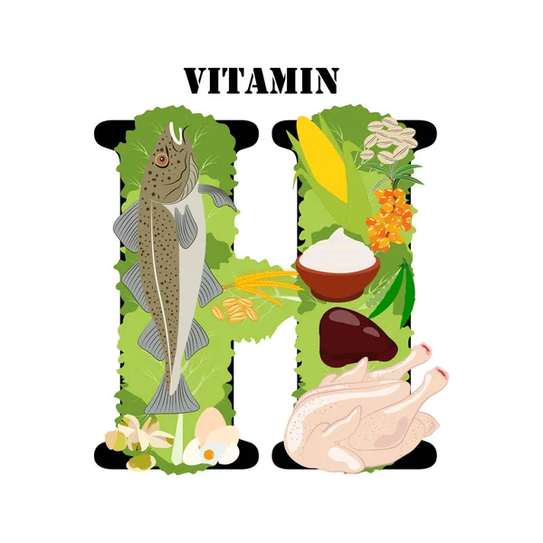 Vitamina Rica Ilustración Vectorial Alimentos Fondo Blanco — Vector de stock